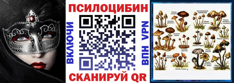 Псилоцибиновые грибы Magic Shrooms hydra сайт Рузаевка